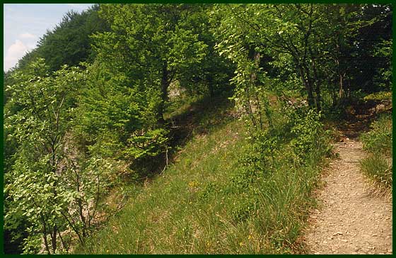 Schaeferburg Hessen