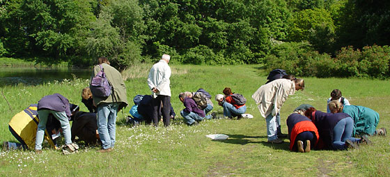 IVN nature excursion